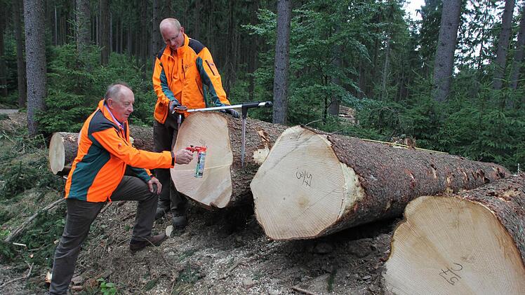 Bruno Fischer (links) und sein Nachfolger Matthias Lindig beim Vermessen von starken Erdstammstücken  Foto: Friedwald Schedel