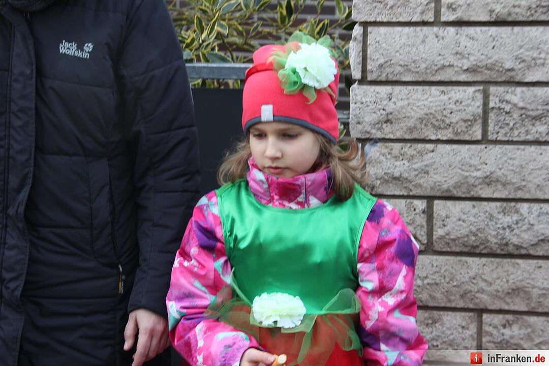 Faschingszug Oberhaid 2016