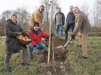 Pflanztermin für den "Frauenrother Wilden" im Streuobstgarten Hausen. Das Bild zeigt von links: Dr. Doris Pokorny, Adam Zentgraf, Bürgermeister Fridolin Link, Franz-Peter Ullmann (Landratsamt Bad Kissingen), Roland Lenhart (Sachgebietsleiter Naturschutz, Landratsamt Bad Kissingen) und Bürgermeister Waldemar Bug.  Foto: Marion Eckert
