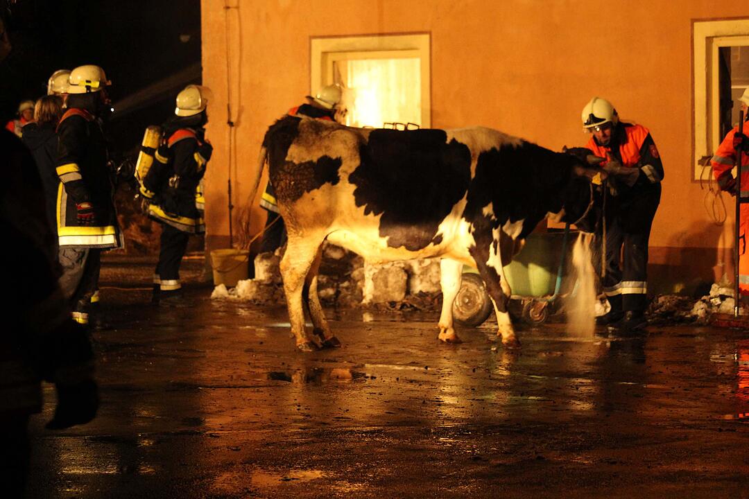 Scheune im Kreis Bayreuth in Flammen: über 100 Tiere vor Flammen gerettet