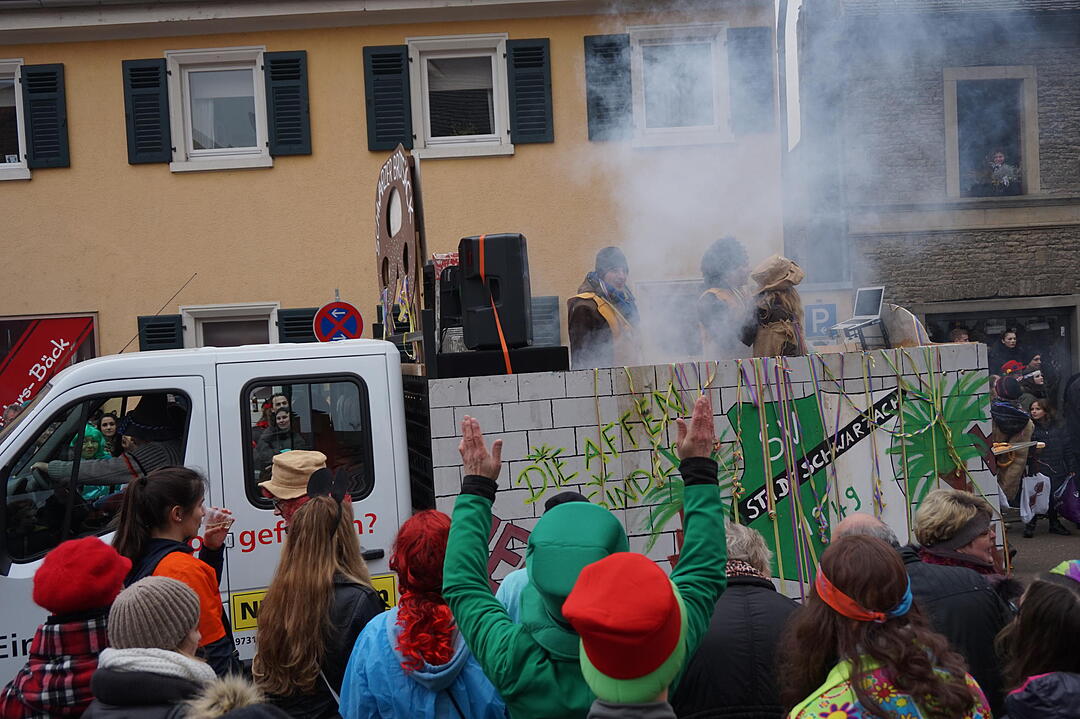 Landkreisfaschingszug 2015
