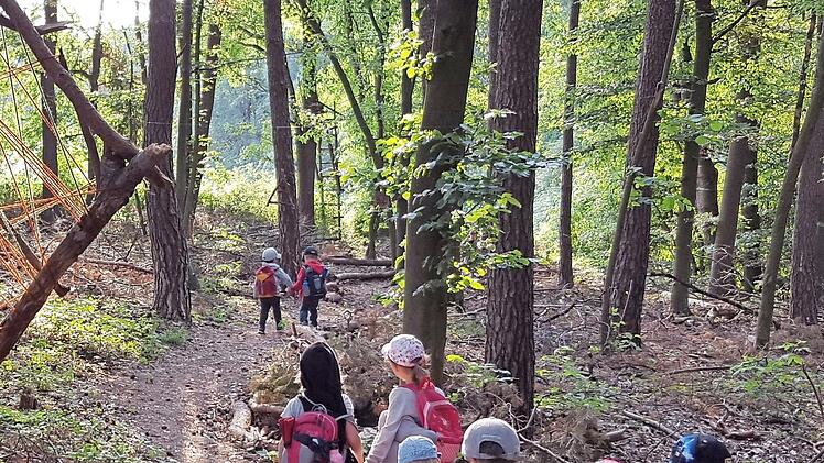 Ganz nah an der Natur sind die Kinder der Kindertagesstätte Sankt Josef Kirchaich bei ihren regelmäßigen Waldwochen. Jetzt wurde die Einrichtung als "Naturpark-Kita" ausgezeichnet.  Foto: Sabine Weinbeer/Archiv