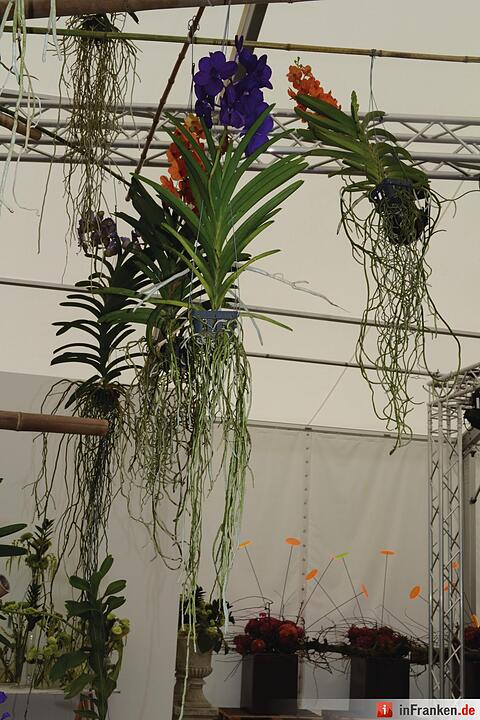 Landesgartenschau 2016 Bayreuth