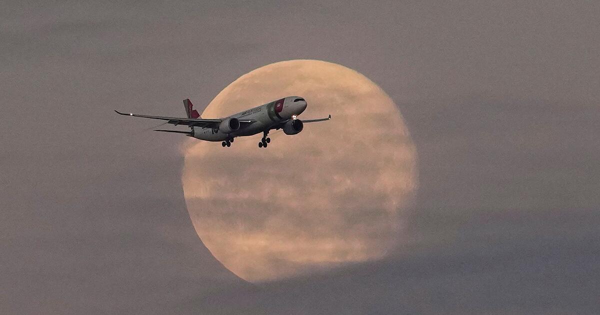 Lufthansa-bietet-f-r-portugiesische-Airline-TAP