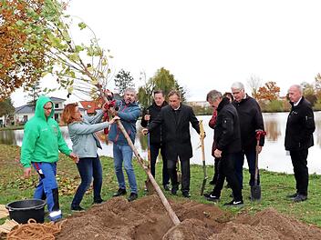 Angelika König und Michael Auer hieven den Baum ins Loch. Foto: Blum