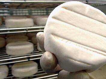 Camembert