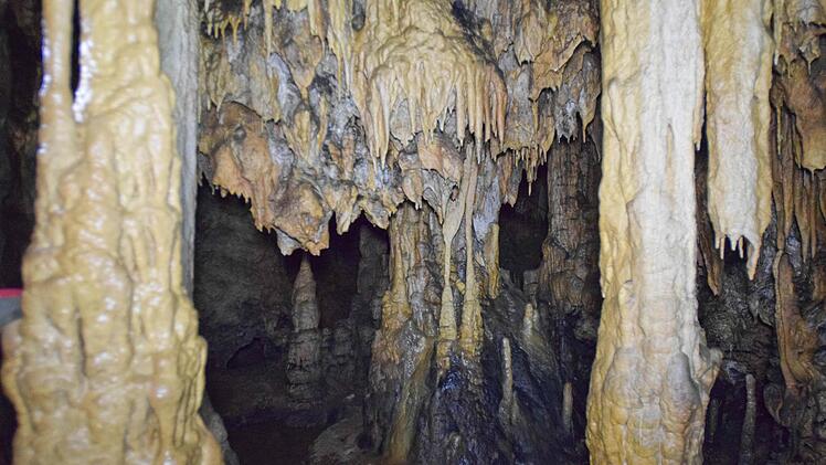 Herrliche Tropfsteine in der Zoolithenhöhle - erst 1971 entdeckt Foto: Ronald Rinklef