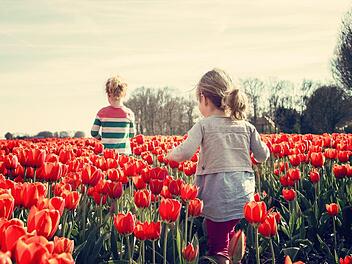 Wissen und Erfahrung an Generationen weiter geben ist von unschätzbarem Wert. Foto: Jupp Schröder