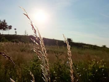 Wetter in Franken Wetter in Franken