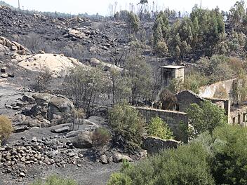 Waldbrände in Portugal