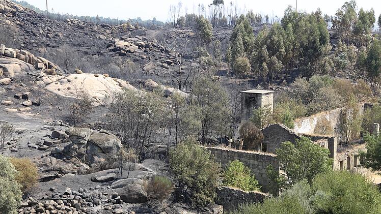 Waldbrände in Portugal
