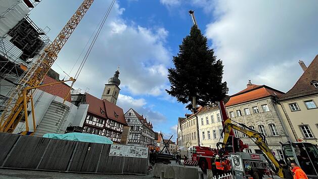 Forchheim: Zw&ouml;lf Meter hoher Weihnachtsbaum auf dem Rathausplatz aufgestellt