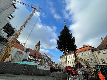 Forchheim: Zwölf Meter hoher Weihnachtsbaum auf dem Rathausplatz aufgestellt