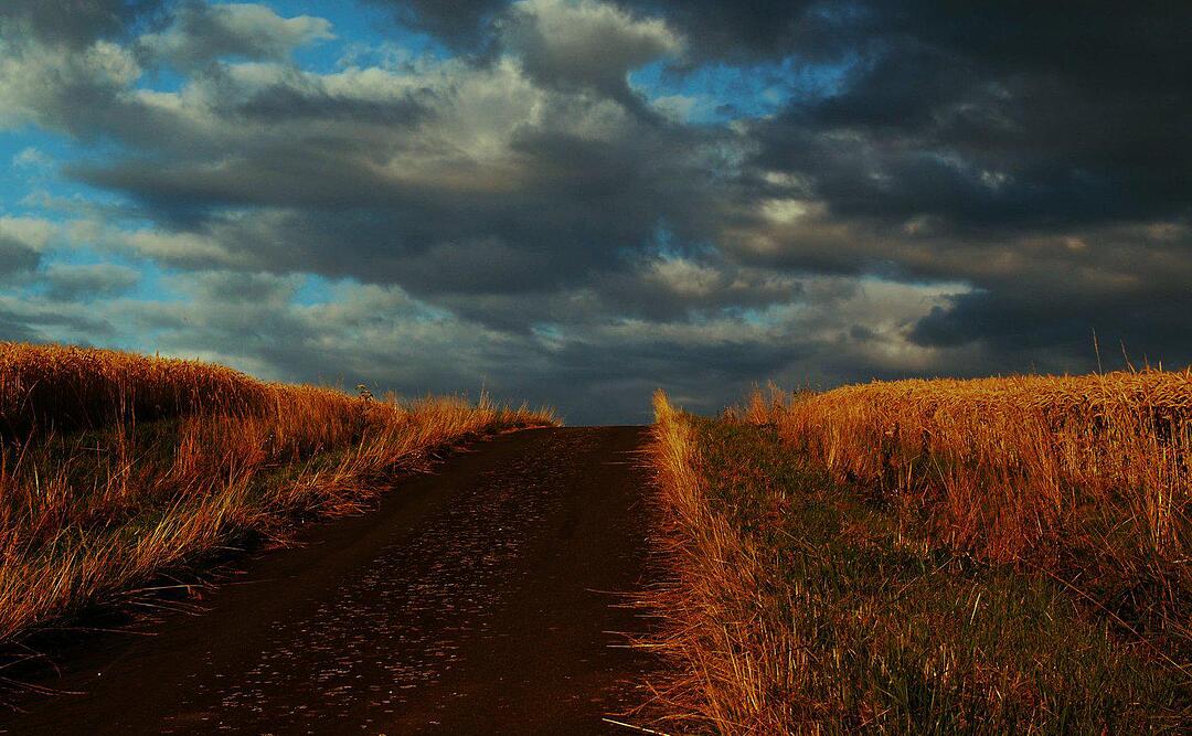 Der Weg zum Steigerwald...Foto: ollyhoppe
