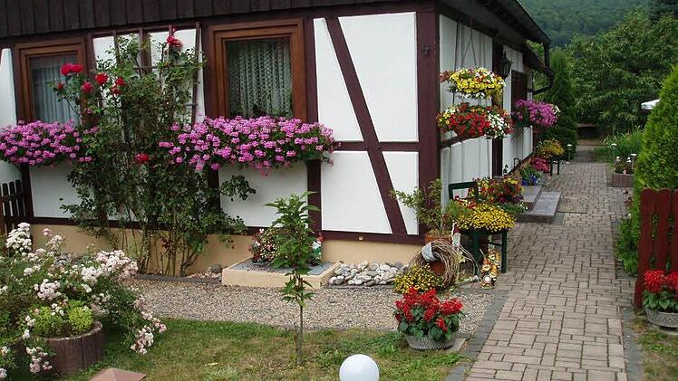 Gerhard Reimann bepflanzt sein Anwesen in gekonnter Manier. Foto: Obst- und Gartenbauverein