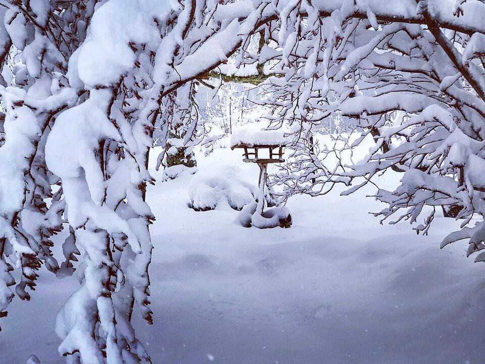 Die schönsten Winterfotos aus Kronach und Umgebung