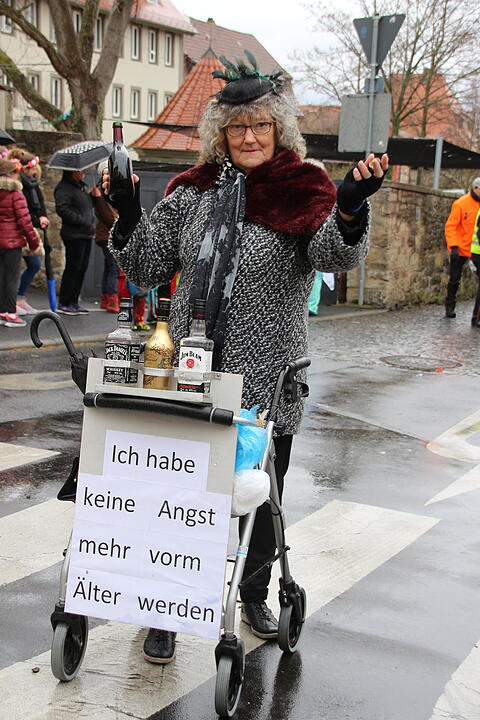 Landkreis Faschingszug