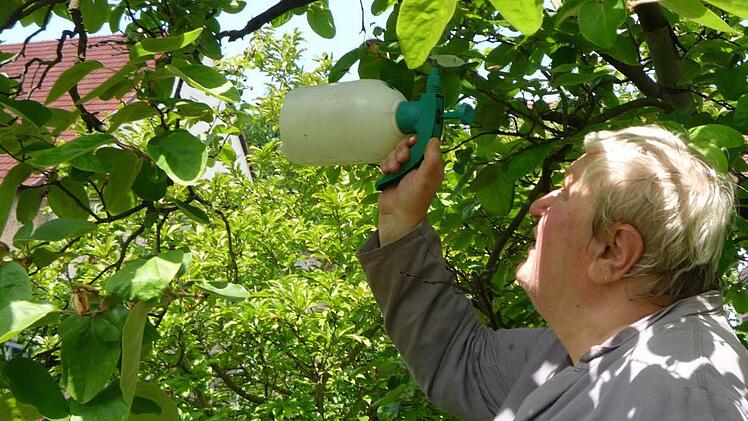 Imker Wilhelm Lauer täuscht die Bienen mit Wasser.