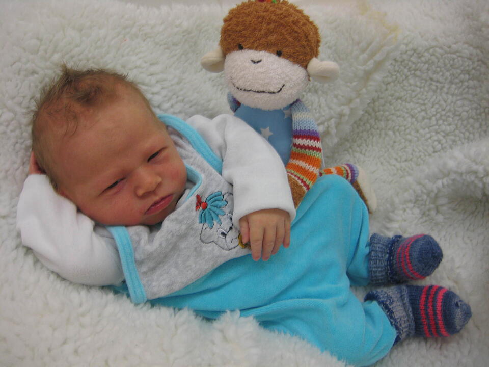 Babygalerie 328