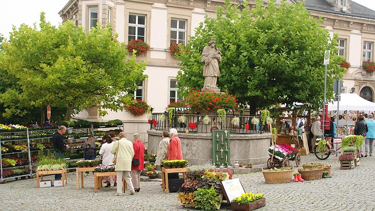 Blumen und Pflanzen aller Art sowie Dekoartikel werden das Bild auf dem Eltmanner Marktplaz gestimmen. Foto: sw