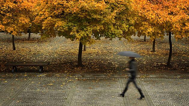 Das Wetter in Franken bleibt am Wochenende regnerische und die Temperaturen sinken weiter.