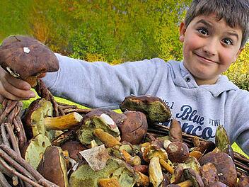 Marius Riedel und seine prachtvollen Pilze.