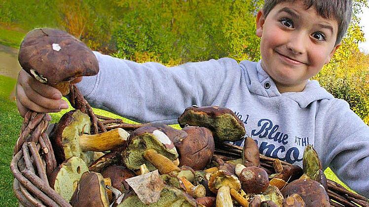Marius Riedel und seine prachtvollen Pilze.