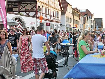 "Haßfurt ist eine schöne Stadt. Ich bitte Sie, nicht zu viel zu jammern, sondern auch das Gute zu sehen", sagte Roland Wölfel von der cima Beratung + Management GmbH bei der Präsentation des Stadtmarketing-Konzepts der Stadt Haßfurt. Fotos: Ulrike Langer