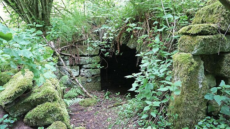 Der Keller des Hauses Nr 17 ist vom Weg aus zugänglich - aber völlig überwachsen.