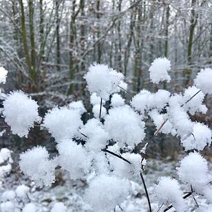 Winter in Franken