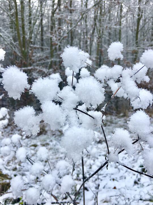 Winter in Franken
