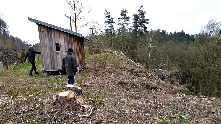 Die Folgen der Abholzaktion sind noch überall zu sehen. Foto: Werner Reißaus