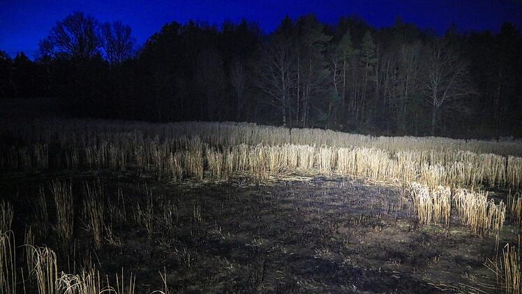 Foto: News5/Merzbach