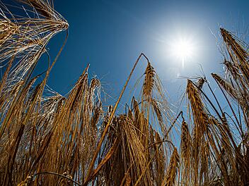 Ausnahme-Sommer 2022