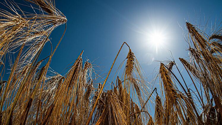 Ausnahme-Sommer 2022