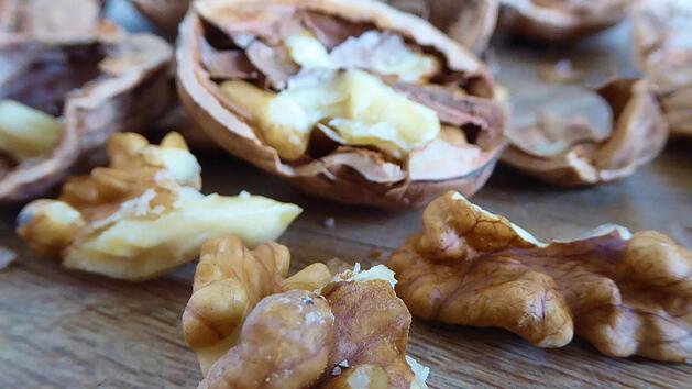 Walnüsse sind nicht nur lecker und gesund, sondern auch deren Blätter lassen sich vielseitig verwerten. Foto: Stefanie Paul