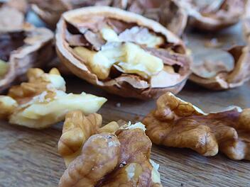 Walnüsse sind nicht nur lecker und gesund, sondern auch deren Blätter lassen sich vielseitig verwerten. Foto: Stefanie Paul