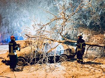 Weil sich der schwere Schnee in die Baumkronen setzte, stürzten Bäume auf Straßen und Autos. Fotos: Sebastian Weber/Kreisbrandinspektion (1)/ Franziska Rieger (2)