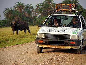 Begegnung mit einem Wasserbüffel. Foto: privat