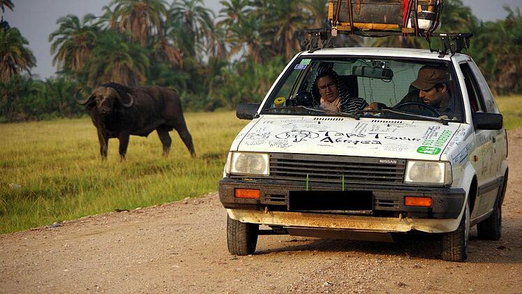 Begegnung mit einem Wasserbüffel. Foto: privat