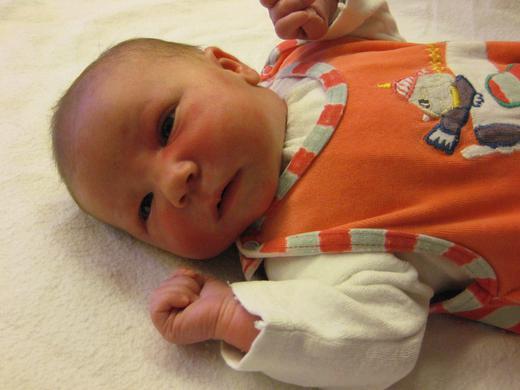 Babygalerie 96