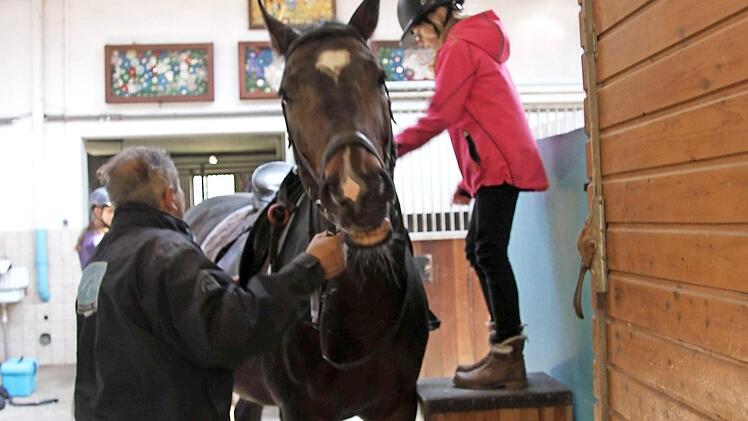 Über eine Treppe kommt man aufs Pferd.