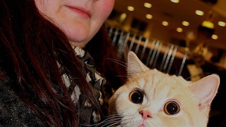 Andrea Schmöller aus Irchenrieth mit Merle's Martha. Merle's Martha wurde von der Jury begutachtet, weil sie zur Zucht eingesetzt werden soll. Merle`s Martha hat einen erlesenen Stammbauch - ihre Eltern heißen Lady Merle de la Borbè und Cornflake from Kingsyard.