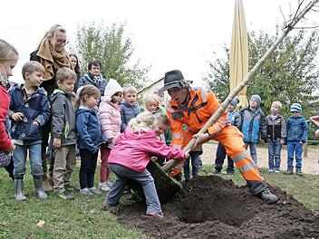 Mit Hilfe von Siegfried Großkopf vom Bauhof Hemhofen pflanzten die Kindergartenkinder den Baum für die im jahr 2016 in Hemhofen geborenen Kinder.  Foto: Sylvia Hubele
