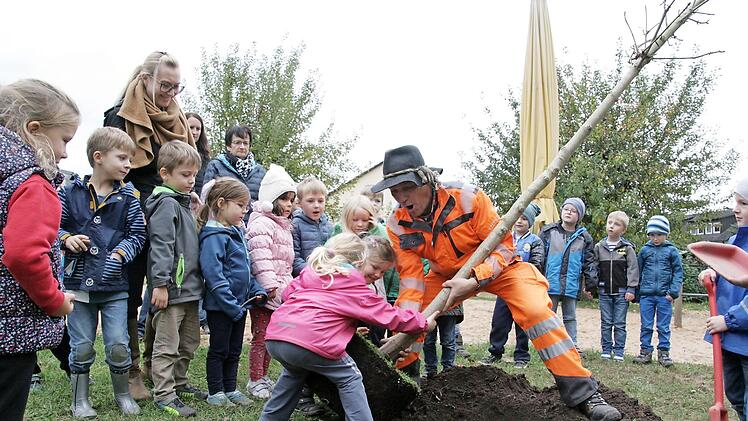 Mit Hilfe von Siegfried Großkopf vom Bauhof Hemhofen pflanzten die Kindergartenkinder den Baum für die im jahr 2016 in Hemhofen geborenen Kinder.  Foto: Sylvia Hubele