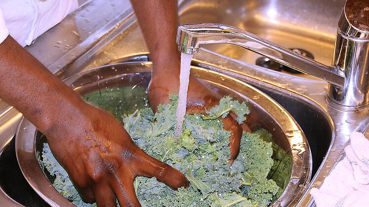 Ganz wichtig ist natürlich, dass der Grünkohl vor dem Blanchieren noch  gewaschen wird. Dieter Britz