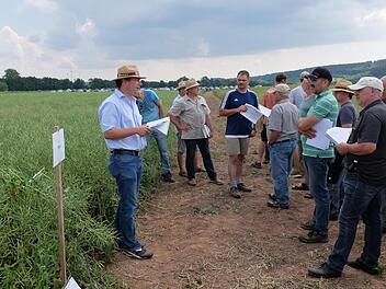 Im Wiesengrund in Burglauer konnten die Landwirte und Besucher die Besichtigungsfl&auml;chen in Augenschein nehmen. Dabei wurde fachkundig auf die Vor- und Nachteile der einzelnen Sorten eingegangen.  Foto: Bj&ouml;rn Hein