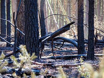 Brand bei Wilhelmstahl