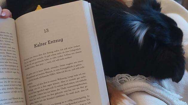 Sich mit dem Hund und einem gutem Buch auf das Sofa kuscheln. Das ist Selbstf&uuml;rsorge pur.