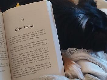 Sich mit dem Hund und einem gutem Buch auf das Sofa kuscheln. Das ist Selbstfürsorge pur.